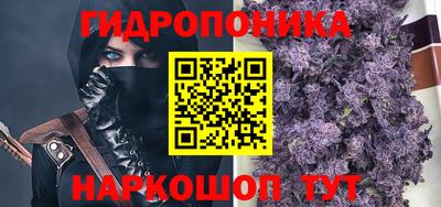 стаф Кулебаки