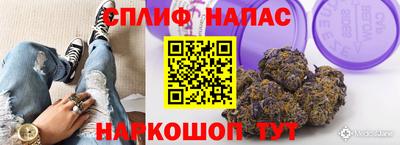стаф Кулебаки