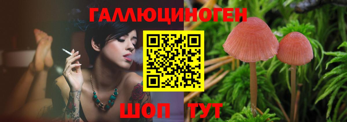 Южно-Сахалинск  Псилоцибиновые грибы Magic Shrooms  Вход с VPN 